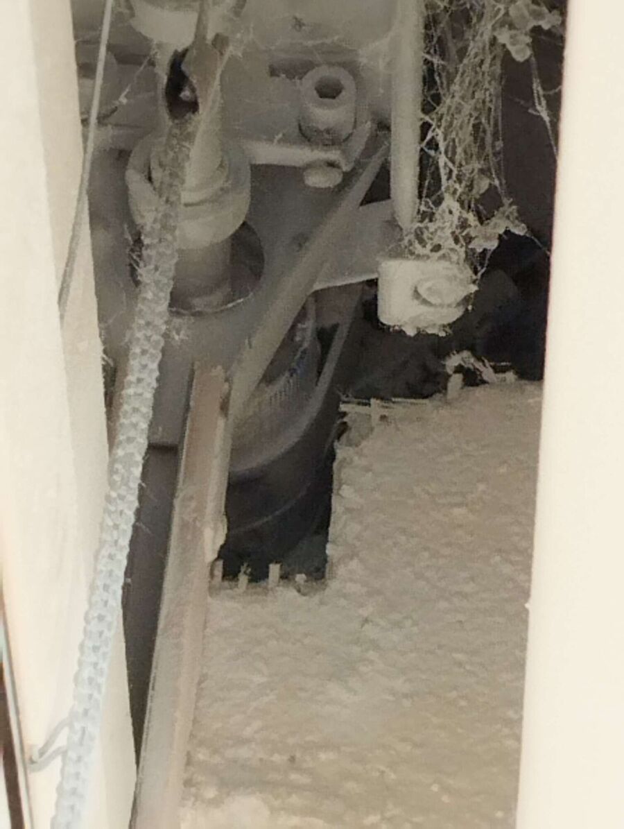 wespennest_entfernen