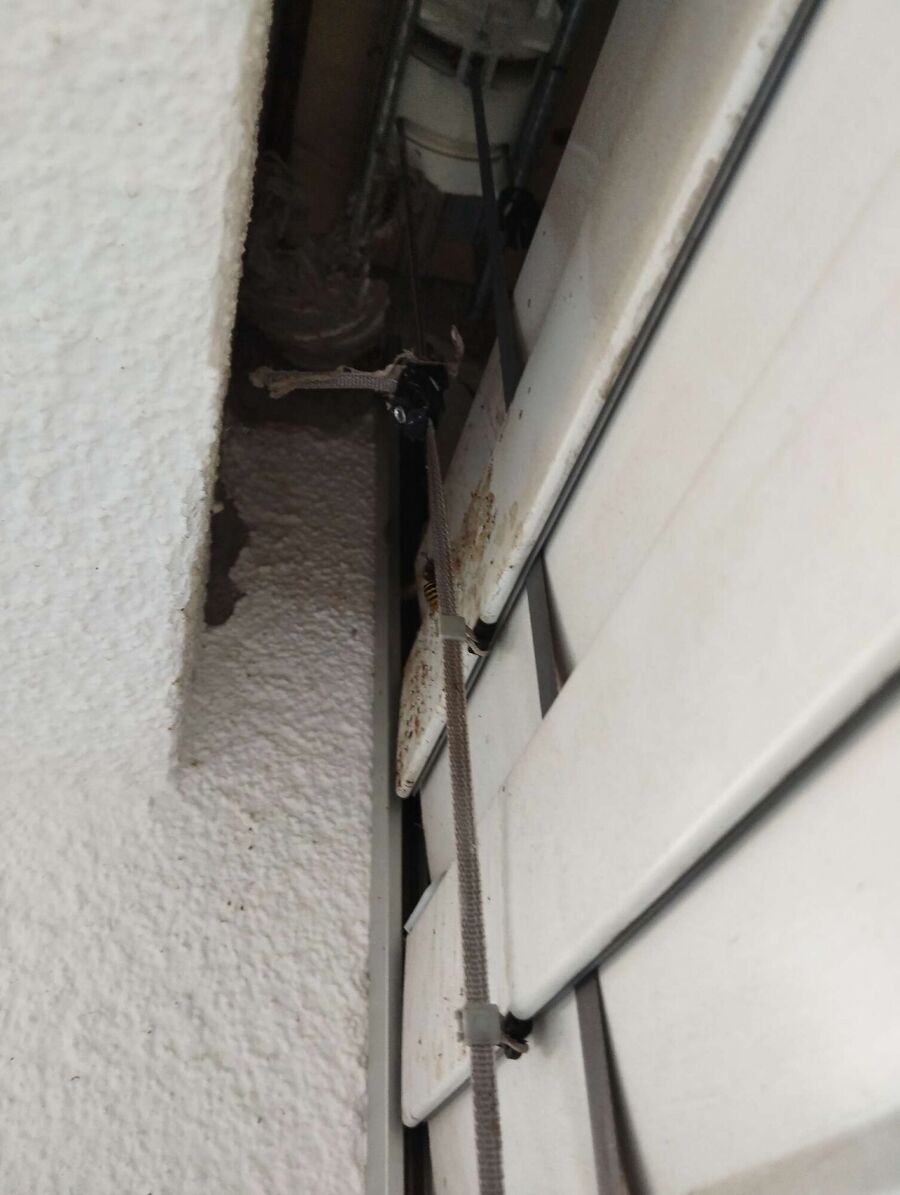 wespennest_entfernen