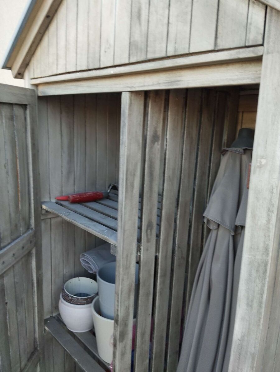 wespennest_entfernen