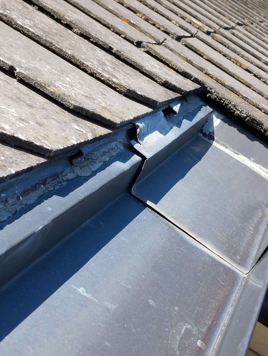 wespennest_entfernen