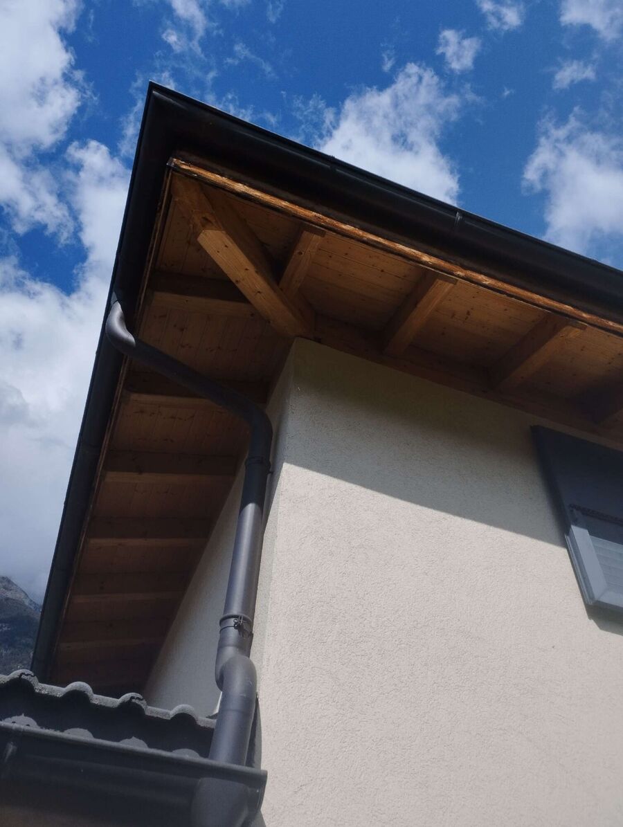 wespennest_entfernen