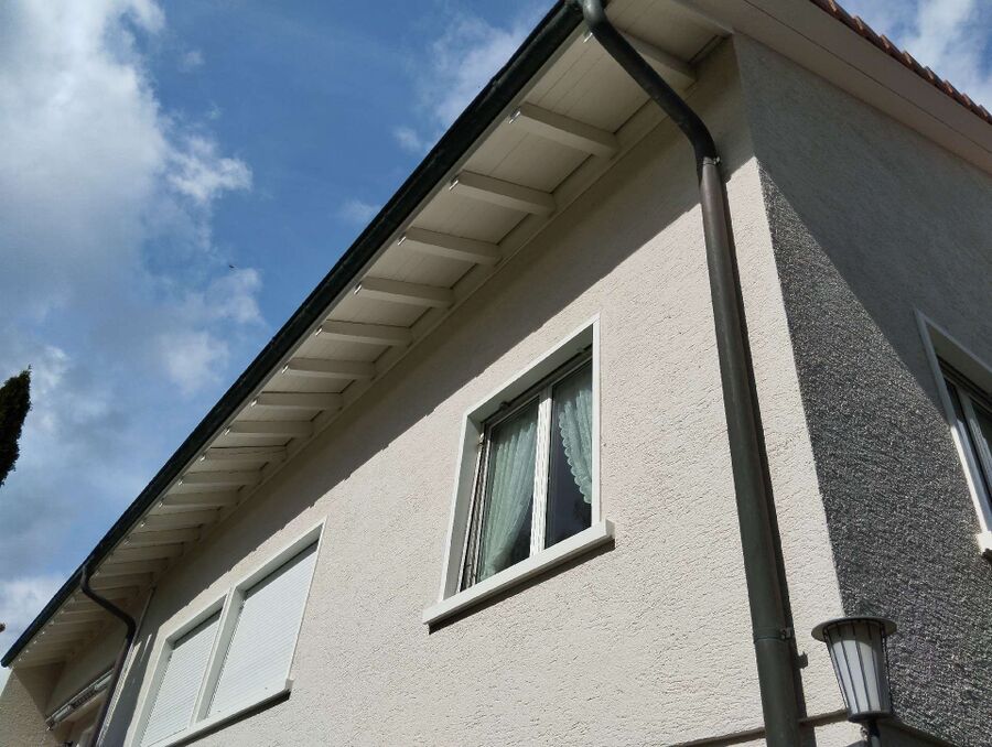 wespennest_entfernen