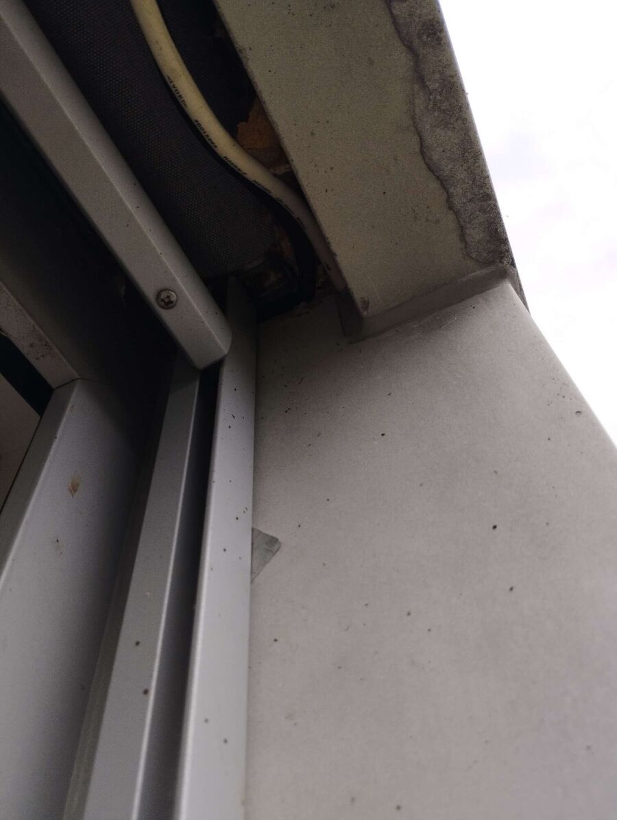 wespennest_entfernen