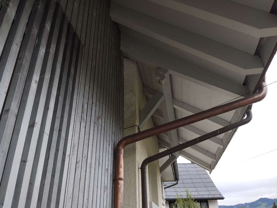 wespennest_entfernen