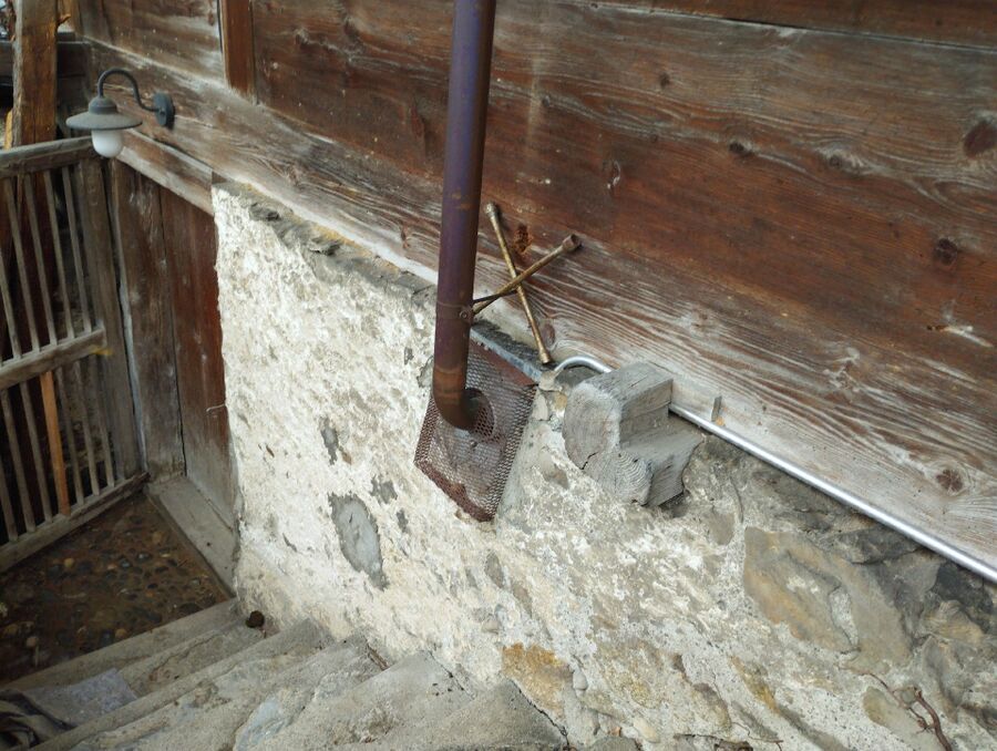 wespennest_entfernen