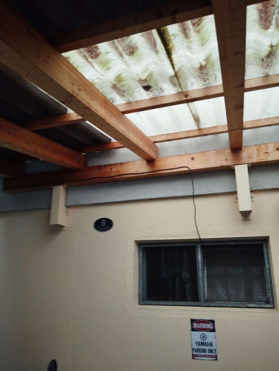 wespennest_entfernen