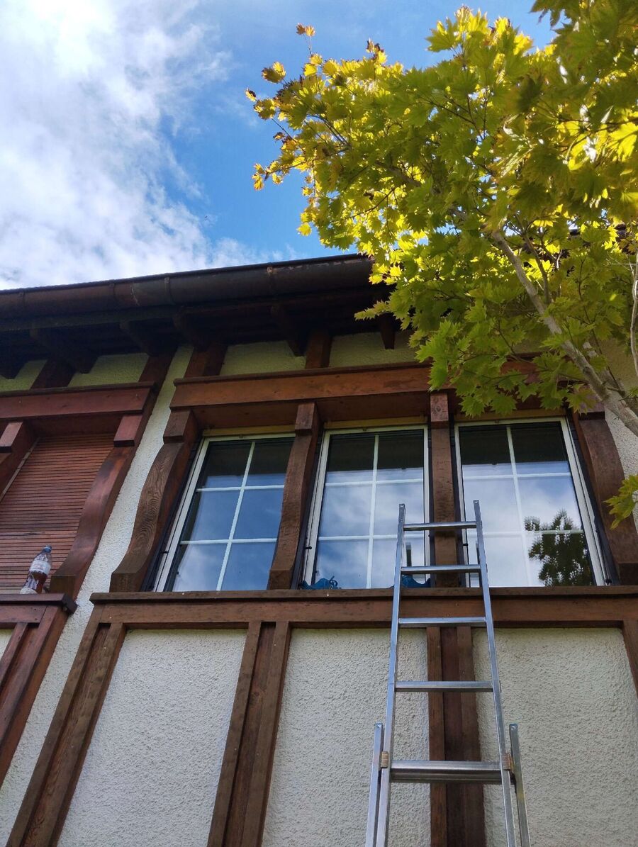 wespennest_entfernen