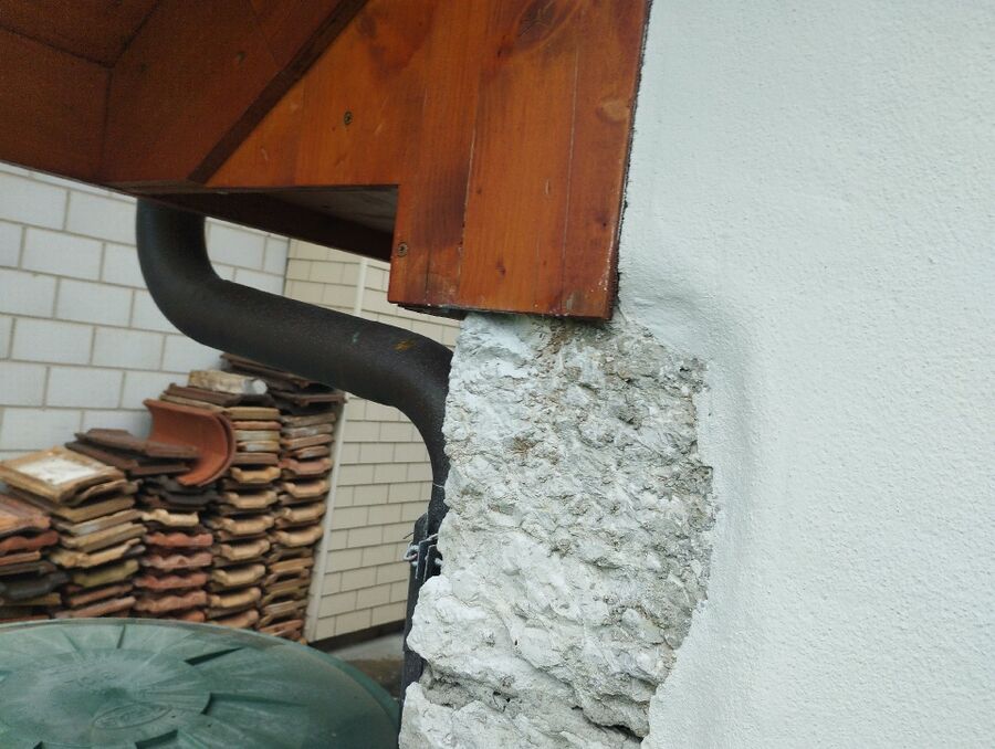 wespennest_entfernen