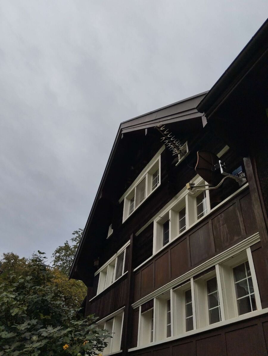 wespennest_entfernen