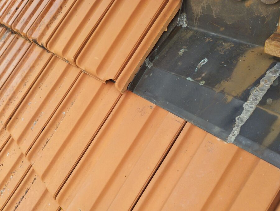 wespennest_entfernen