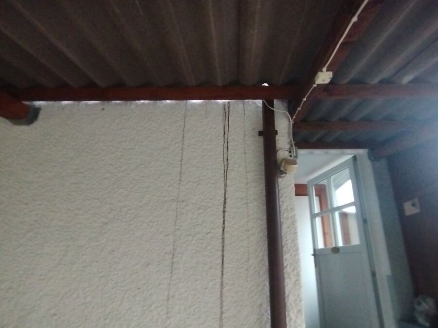 wespennest_entfernen