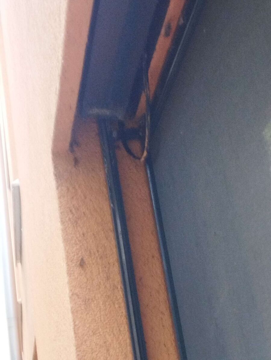 wespennest_entfernen