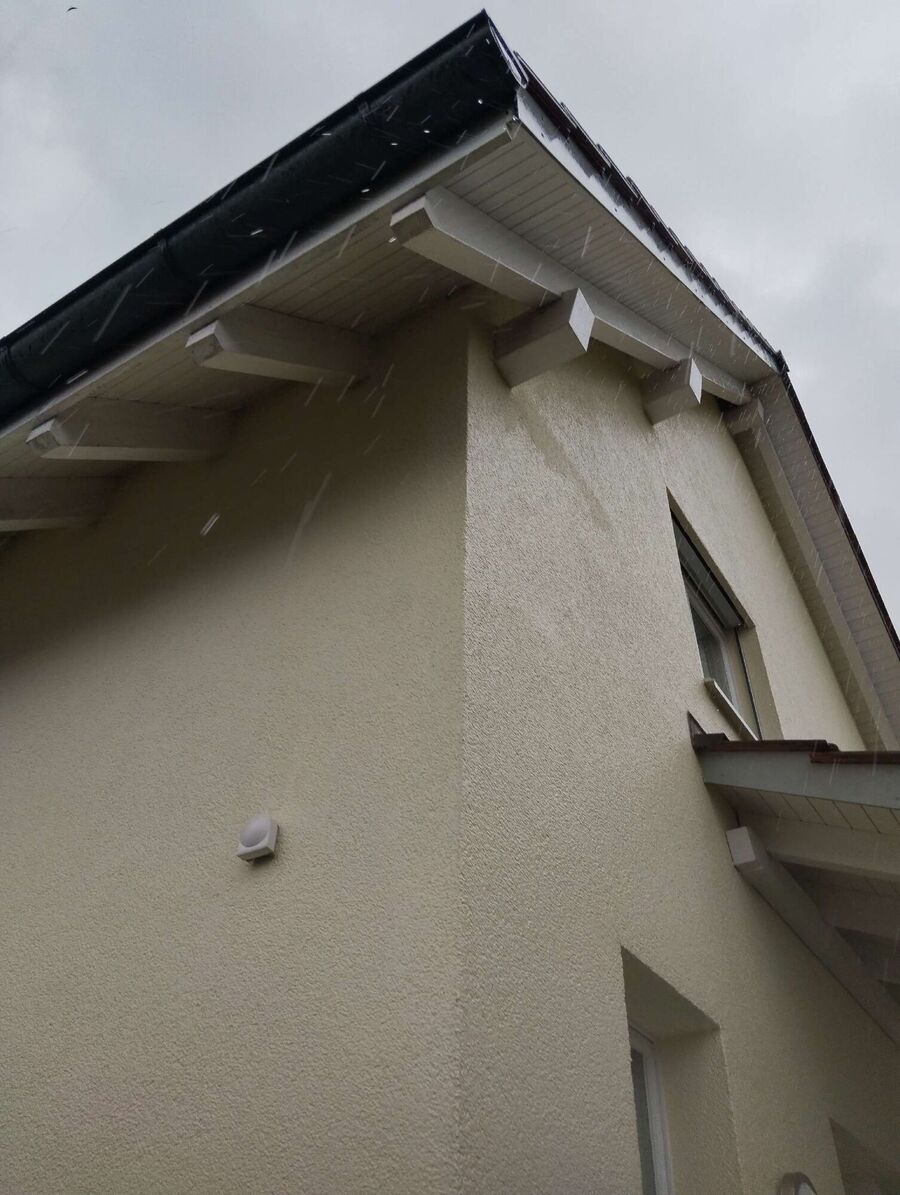 wespennest_entfernen