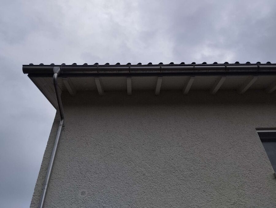 wespennest_entfernen