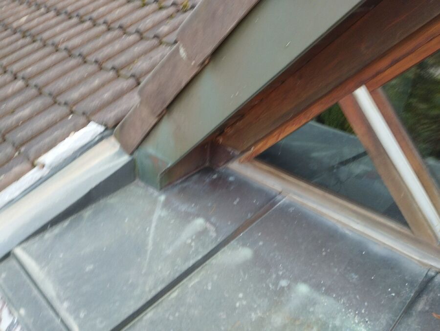 wespennest_entfernen