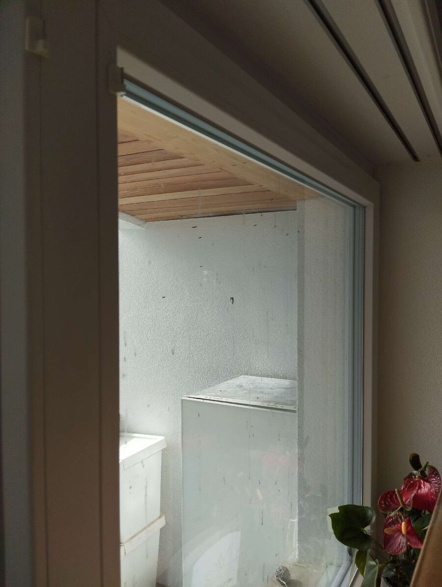 wespennest_entfernen