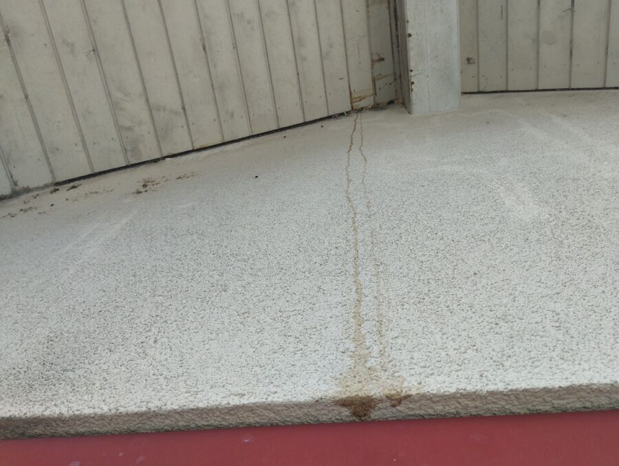 wespennest_entfernen