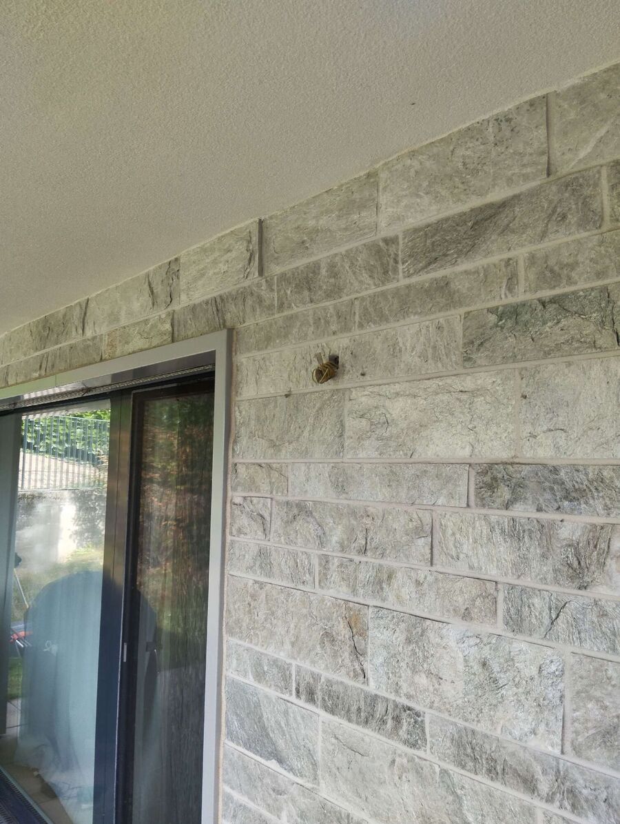 wespennest_entfernen