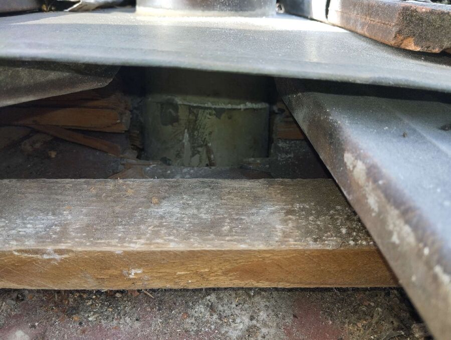 wespennest_entfernen