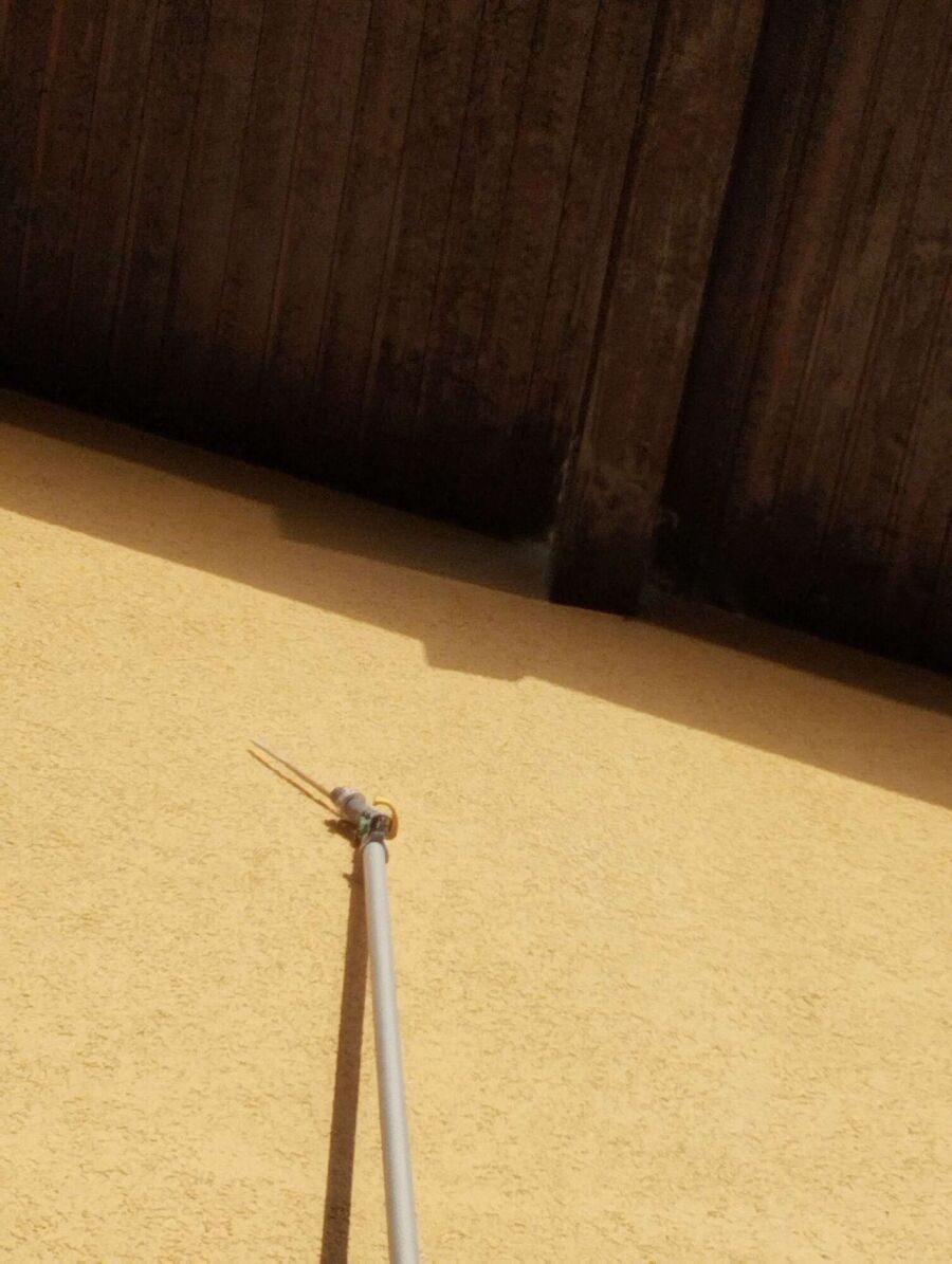 wespennest_entfernen