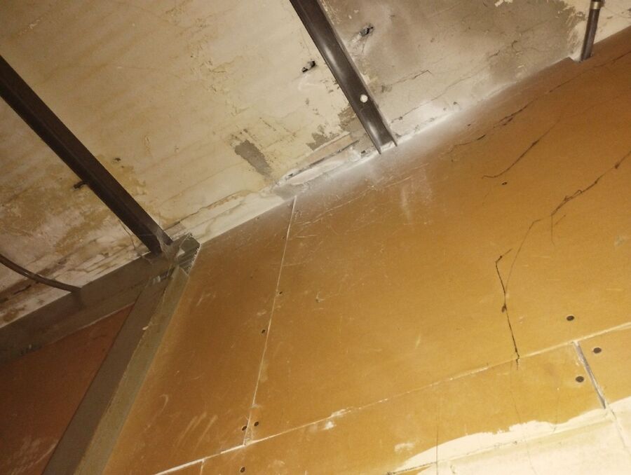 wespennest_entfernen