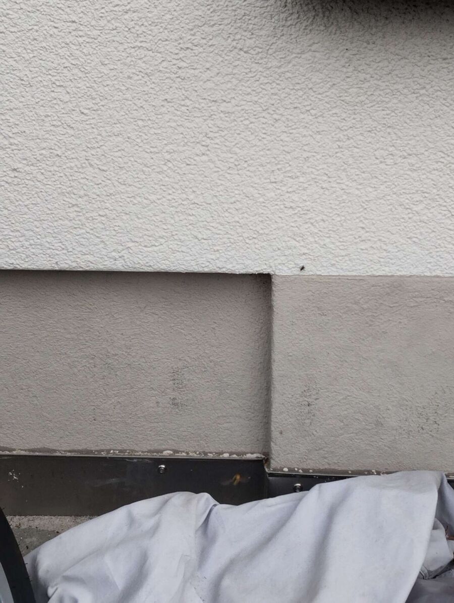 wespennest_entfernen