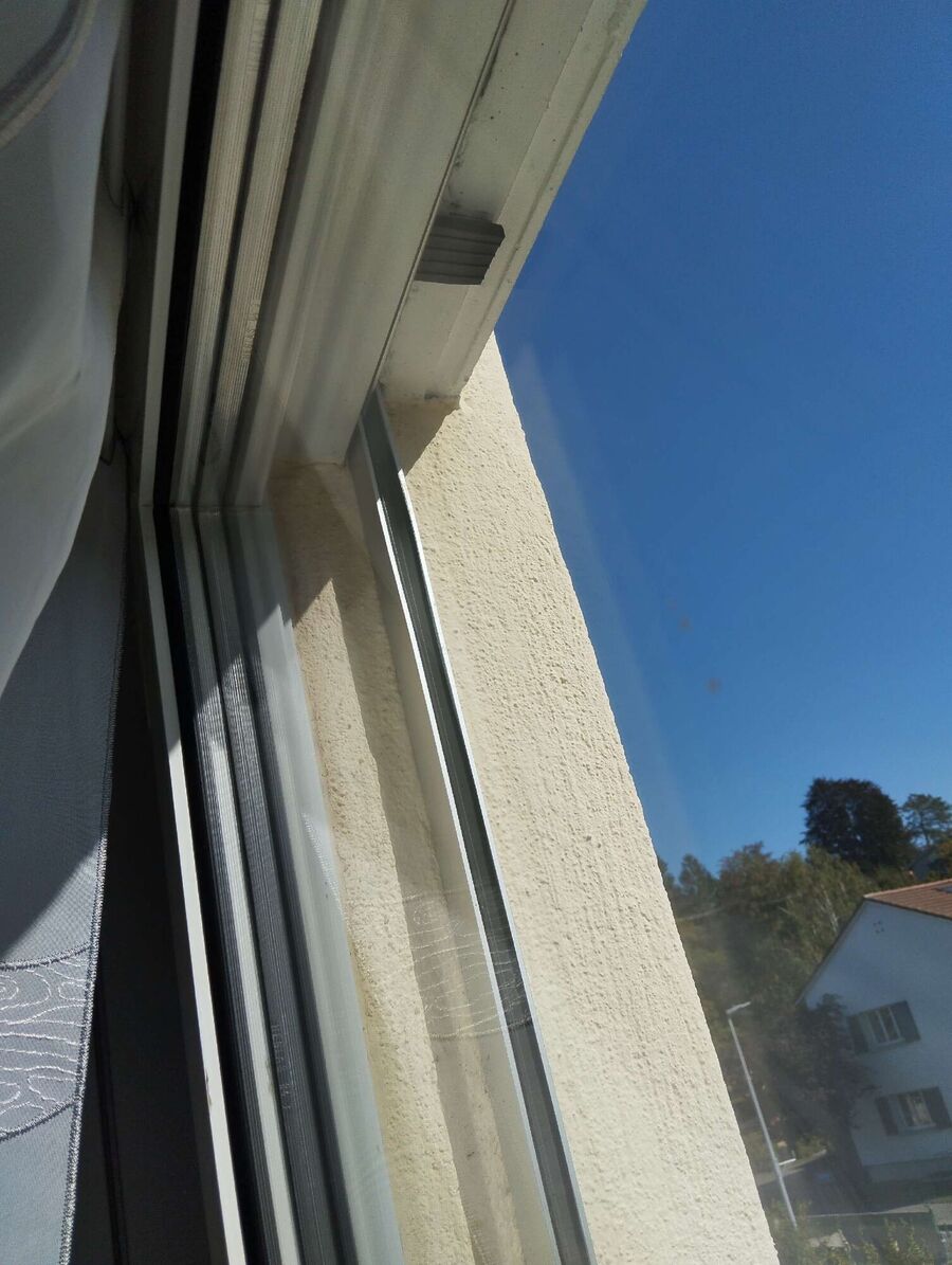 wespennest_entfernen