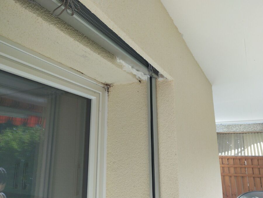 wespennest_entfernen