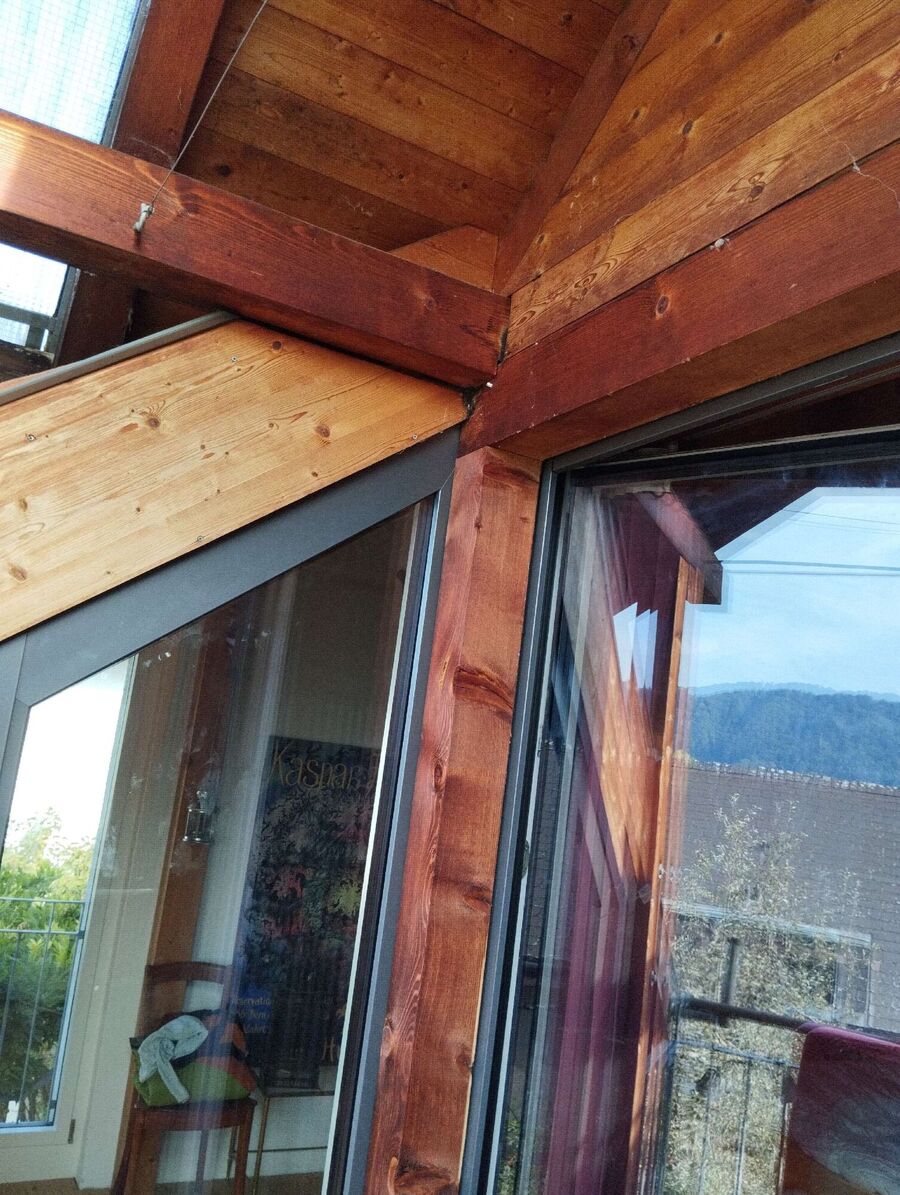 wespennest_entfernen