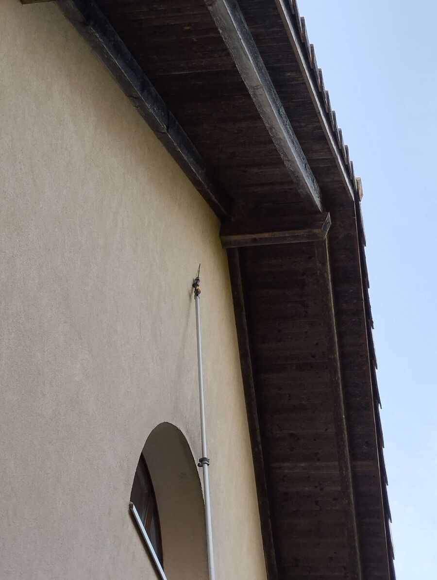 wespennest_entfernen