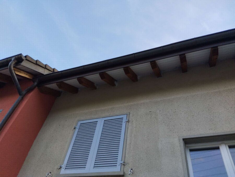 wespennest_entfernen