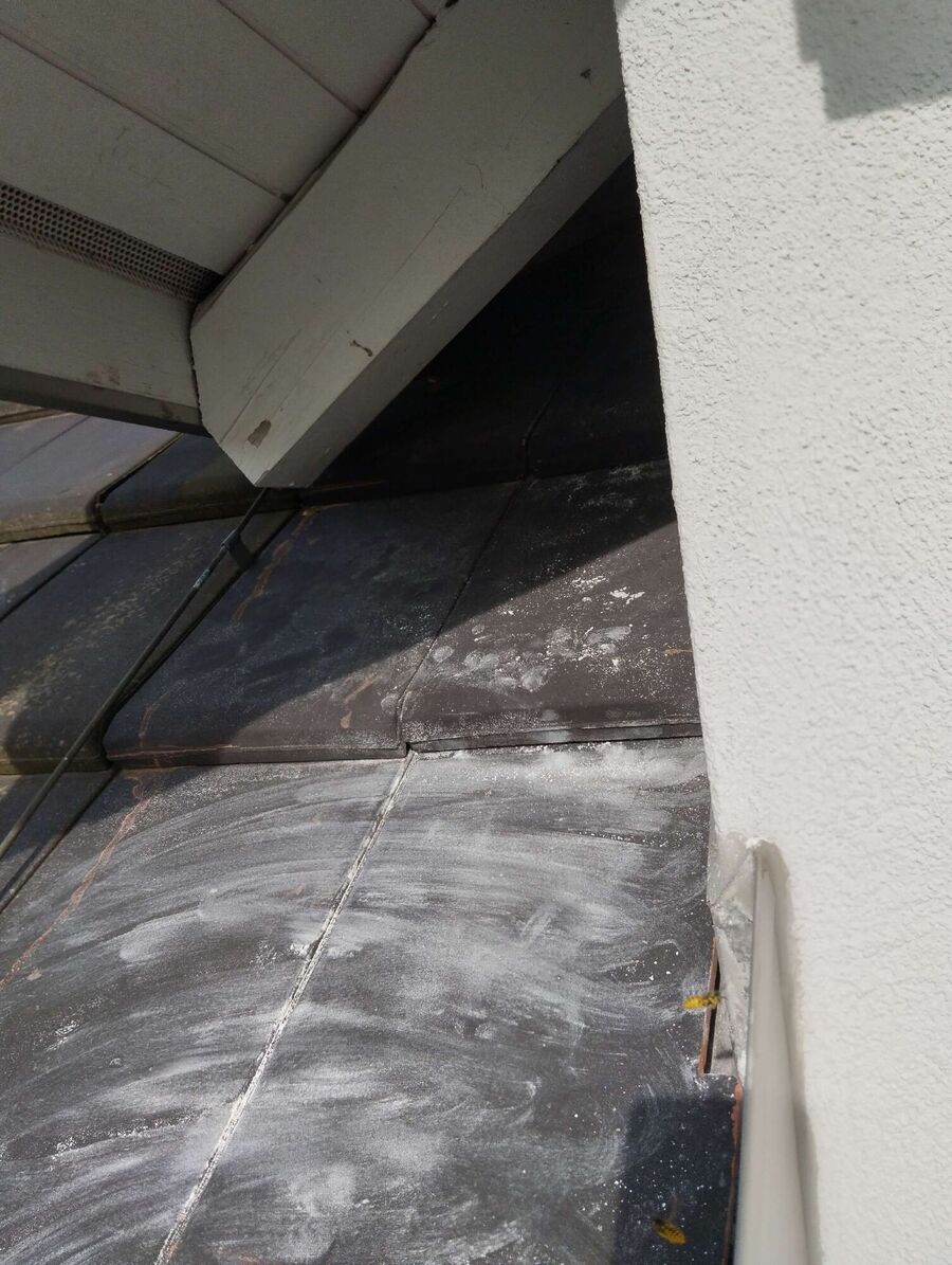 wespennest_entfernen