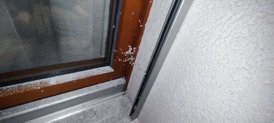 wespennest_entfernen