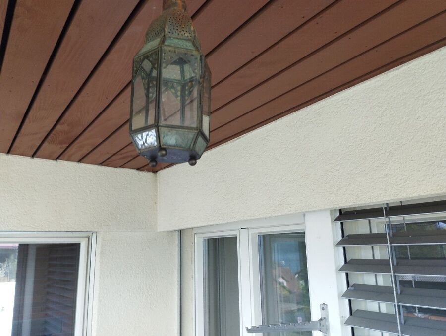 wespennest_entfernen