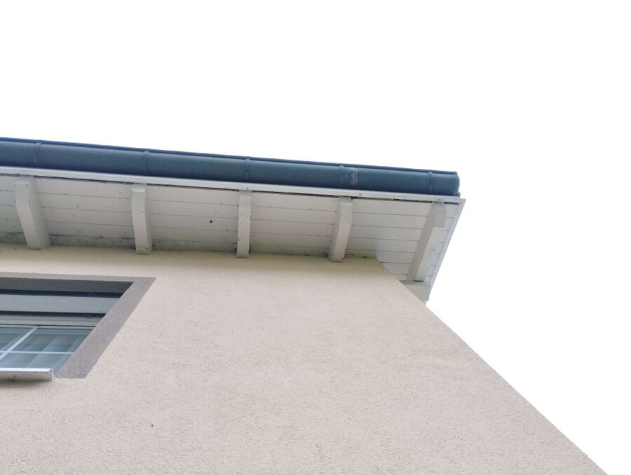 wespennest_entfernen