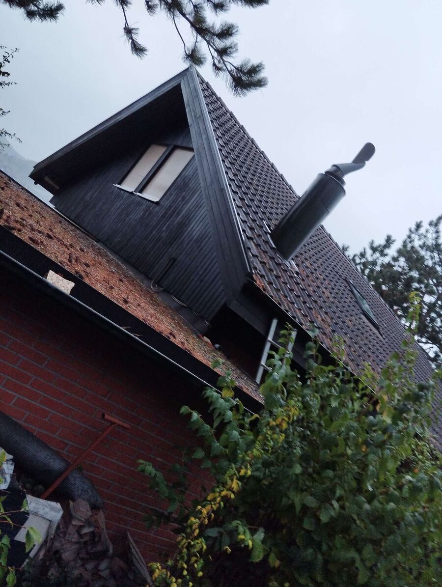 wespennest_entfernen