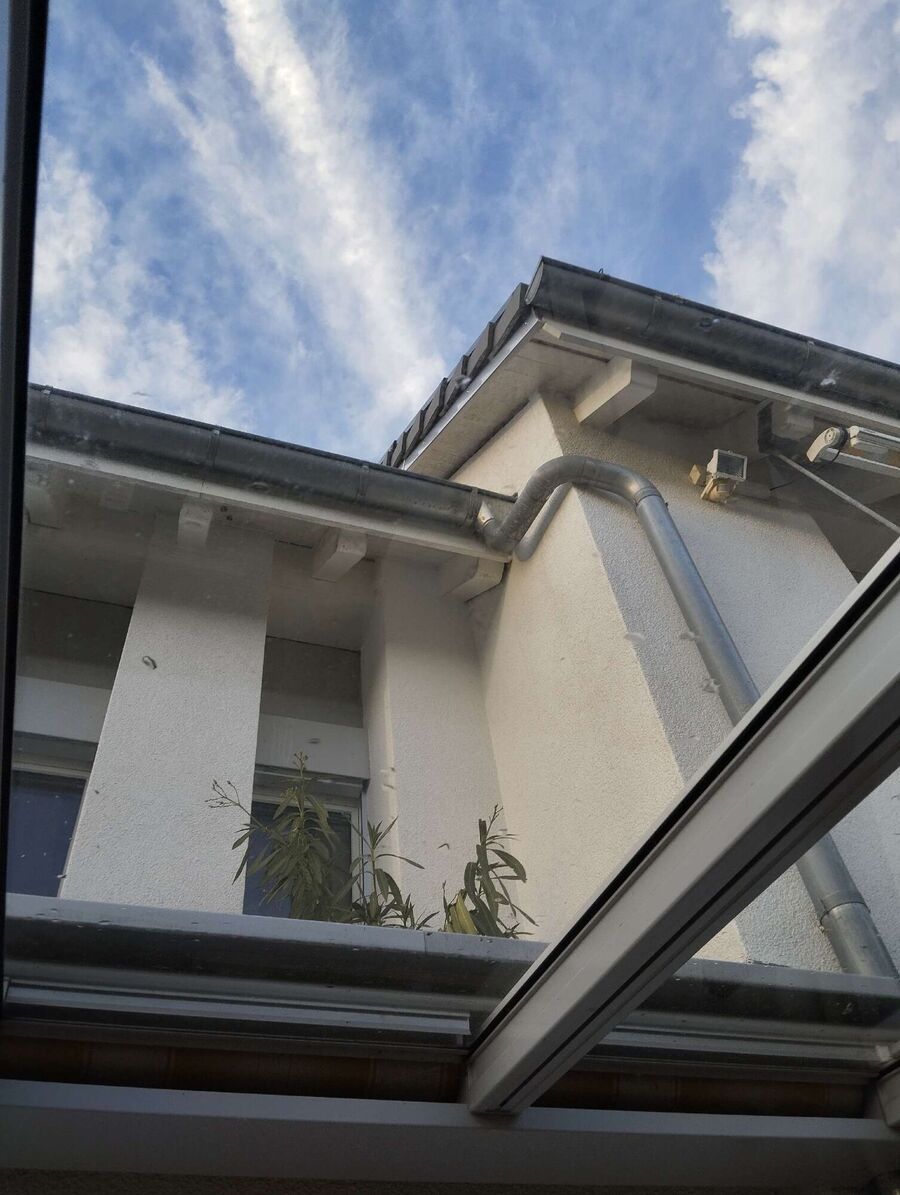 wespennest_entfernen