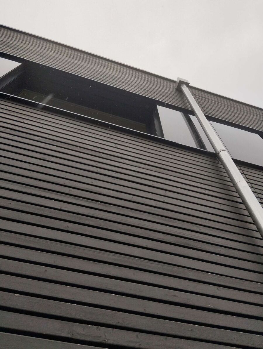 wespennest_entfernen