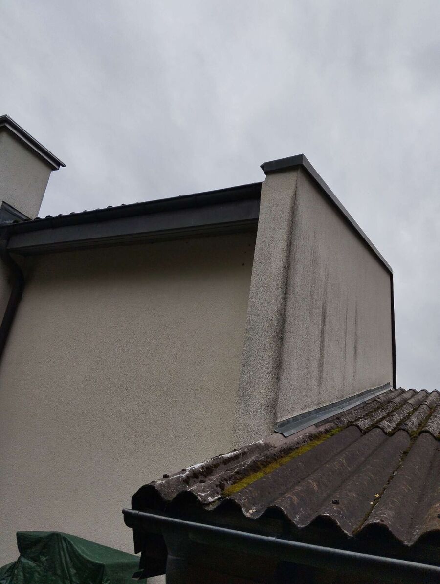 wespennest_entfernen