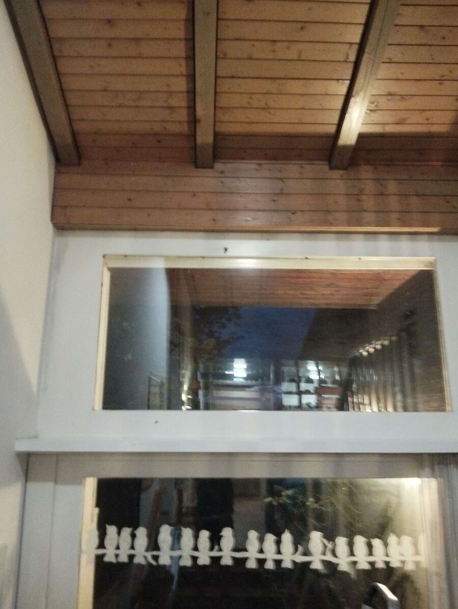 wespennest_entfernen