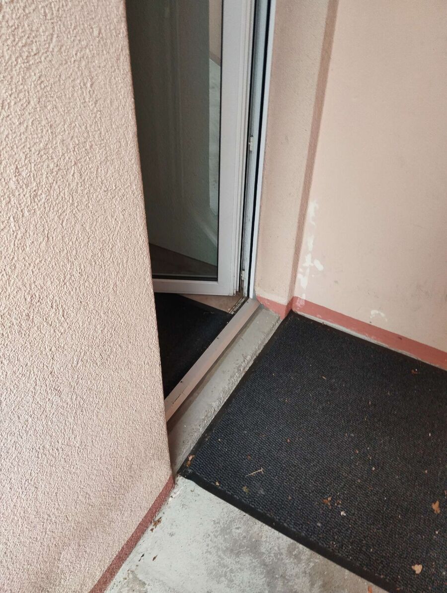 wespennest_entfernen