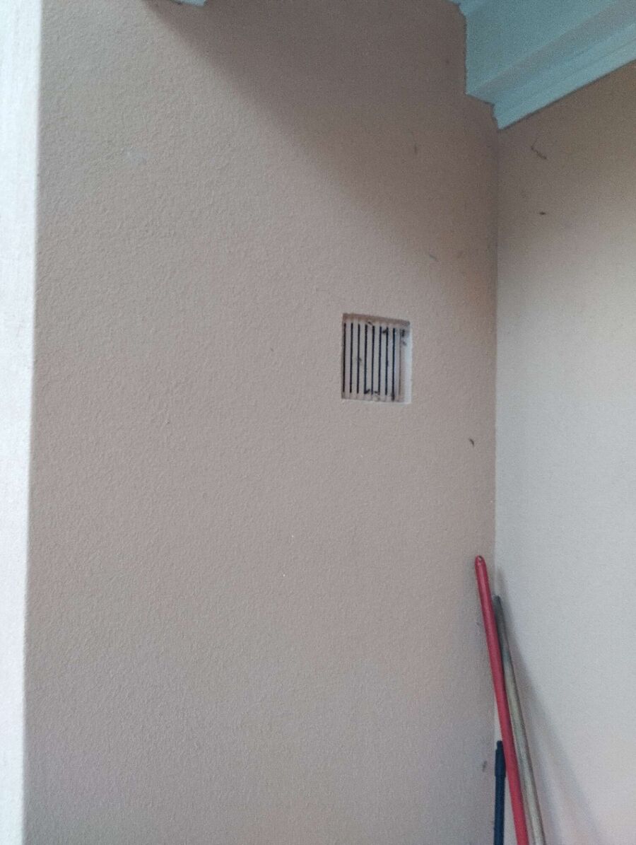 wespennest_entfernen