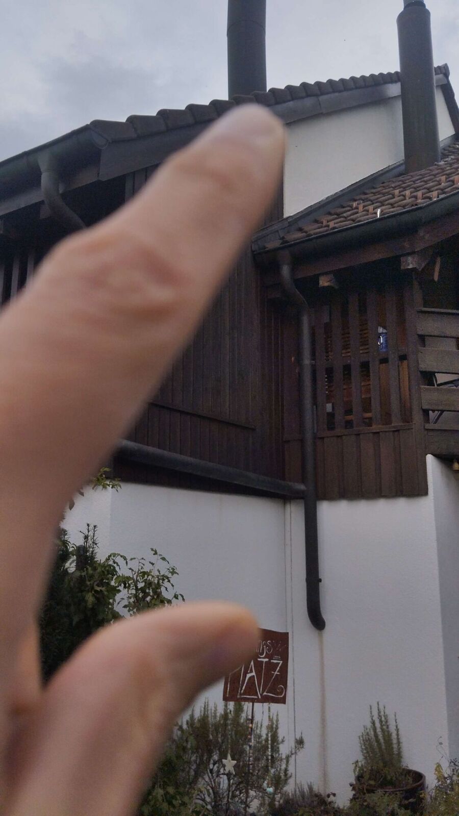 wespennest_entfernen