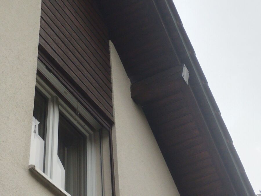 wespennest_entfernen