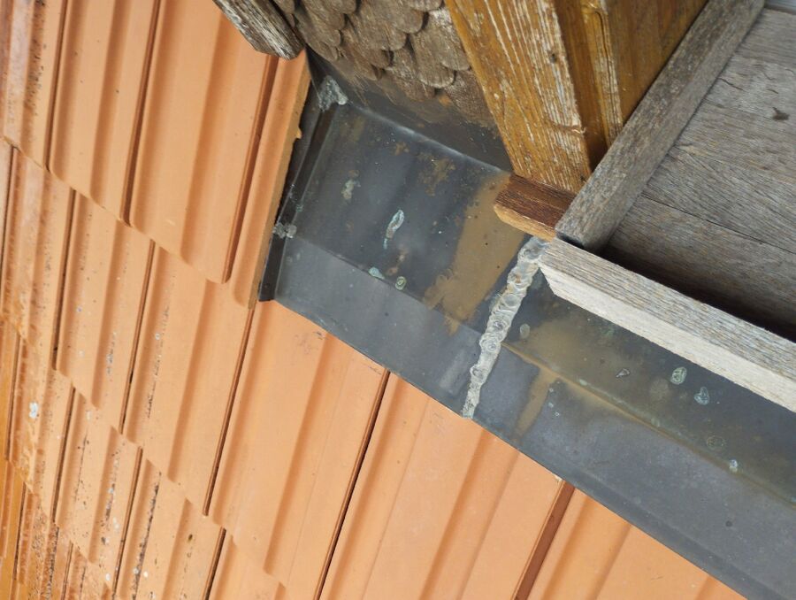 wespennest_entfernen