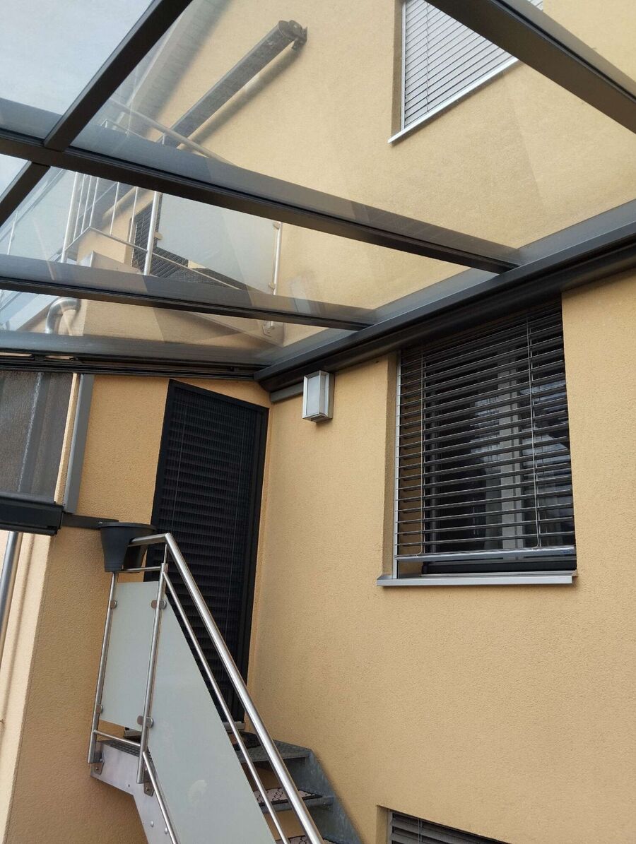 wespennest_entfernen