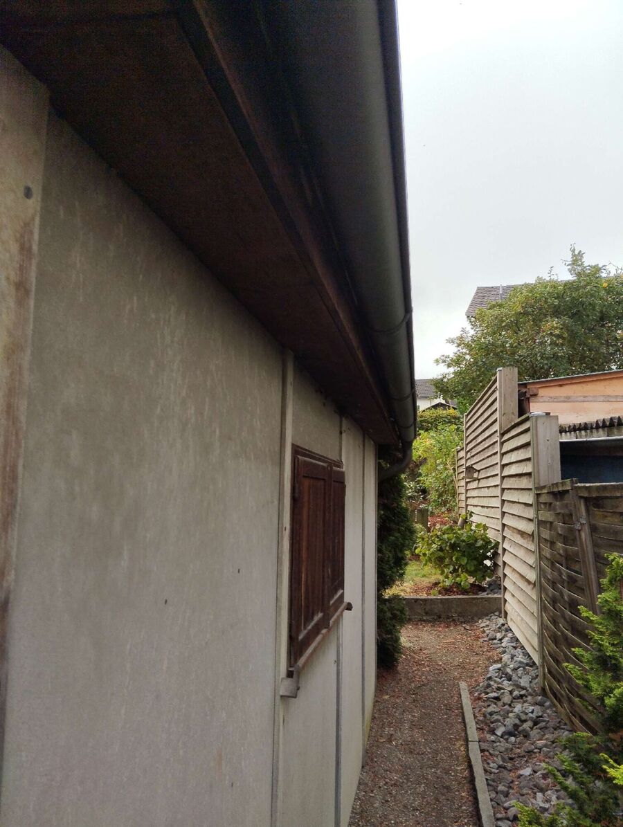 wespennest_entfernen