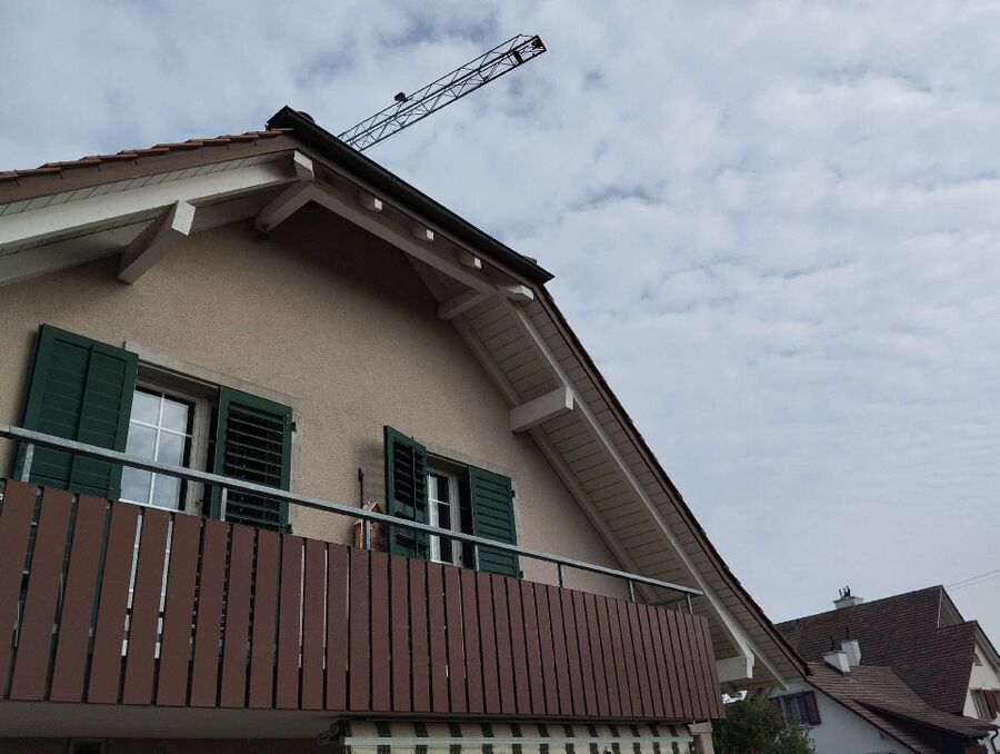 wespennest_entfernen