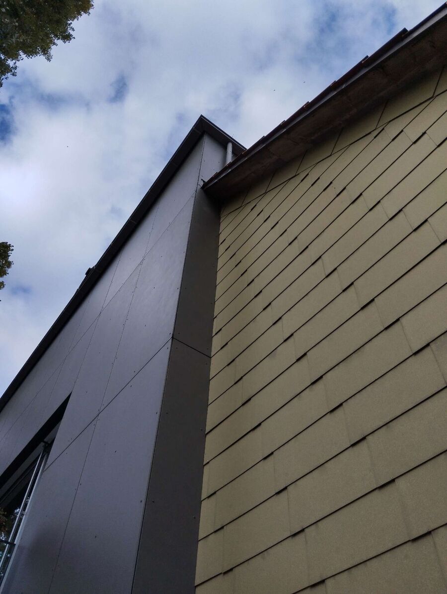 wespennest_entfernen