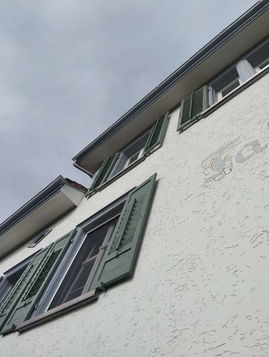 wespennest_entfernen